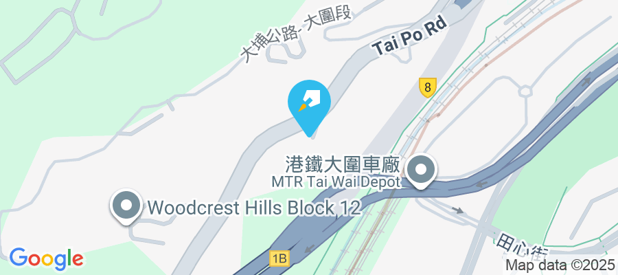 大埔公路沙田嶺段8003號