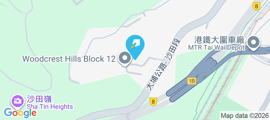 大埔公路沙田嶺段8006號